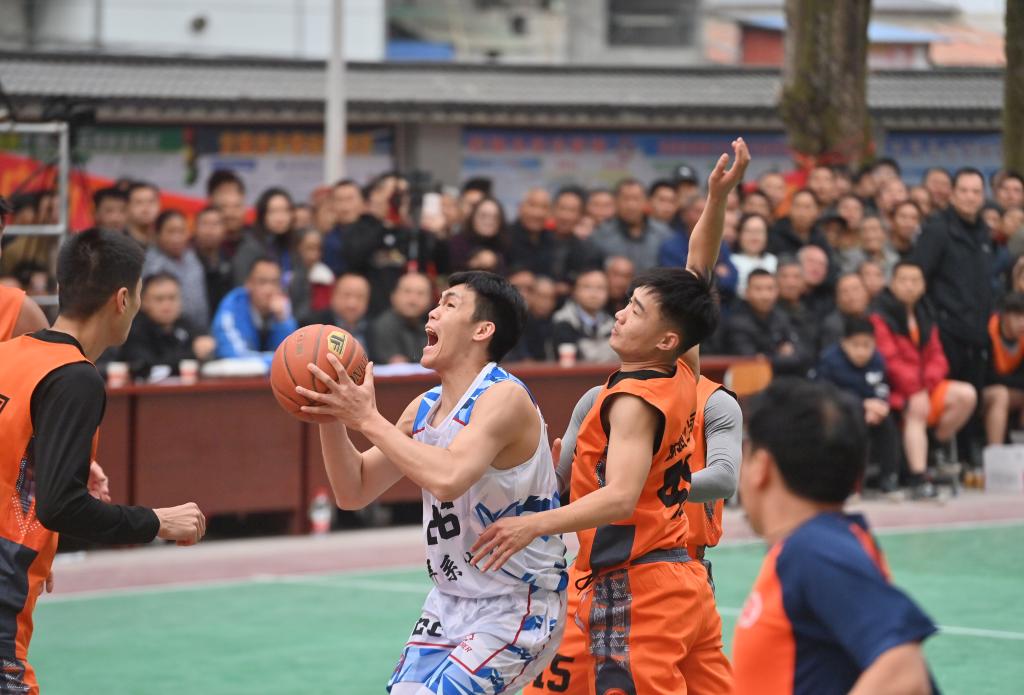 尼特
